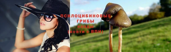 СК Алексин