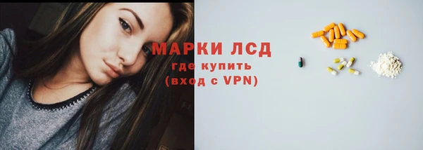 СК Алексин