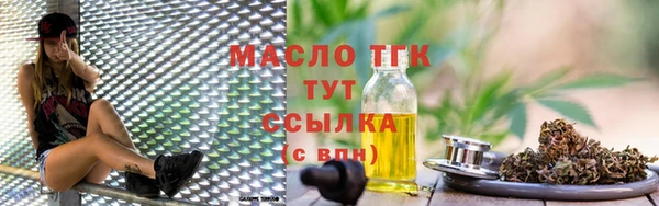 СК Алексин