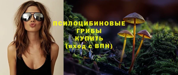 СК Алексин