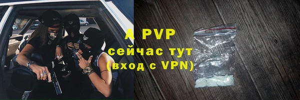 СК Алексин